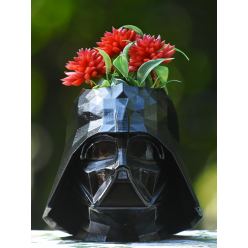 Darth Vader 3D