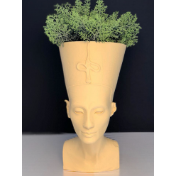 Nefertiti ( Vaso 3D )