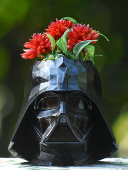 Darth Vader 3D